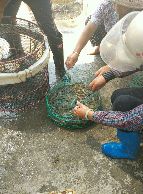 福建诏安和东山岛2日游_漳州旅游攻略