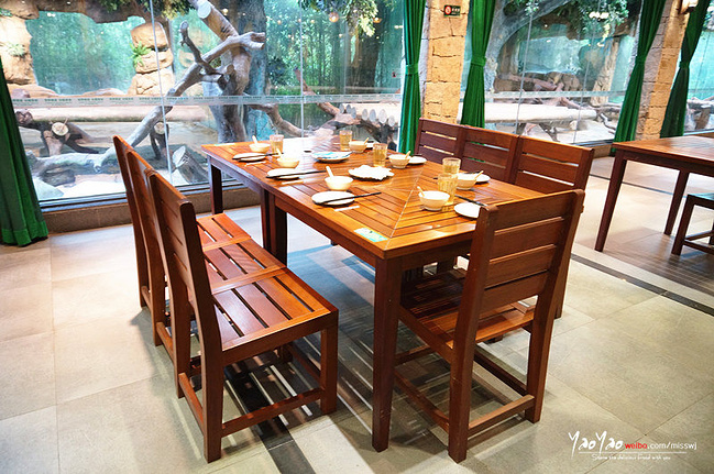 来见见我们奇妙的朋友吧_广州旅游攻略