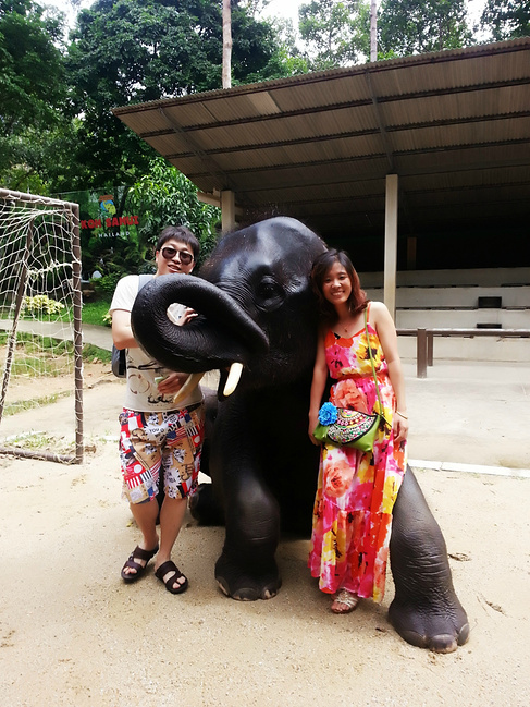 跨年之际的泰国苏梅岛自由行(攻略篇)_苏梅岛