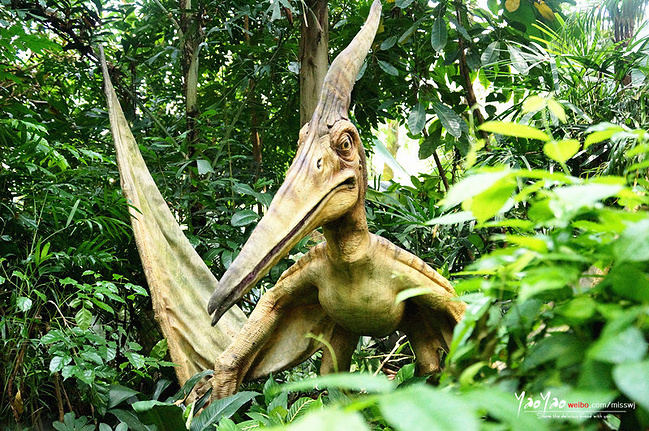 来见见我们奇妙的朋友吧_广州旅游攻略