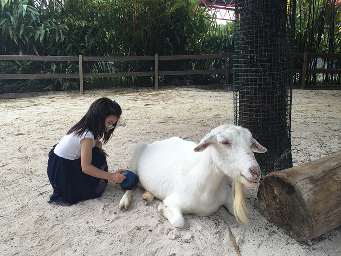 奥兰多主题公园第五天之环球影城 Universal Studios of Florida 环球影城跟迪士尼有很多不同,FP快速票是要单独购买的,门口有柜台,问了一下是85美金每人每天,可以反复使用。价格不菲吧!所以基本上无人问津。提前也可以在网上买票,我们是提前买好票,成人票102刀,儿童票97刀,到门口的Will Call Kiosk输入确认码,票就打印出来了。省去了排队买票的时间。我们去的那天门口还是要排长队购票的。购票的同时还可以选Dining Plan,我们买了一份成人套餐和一份儿童套餐外加两个可