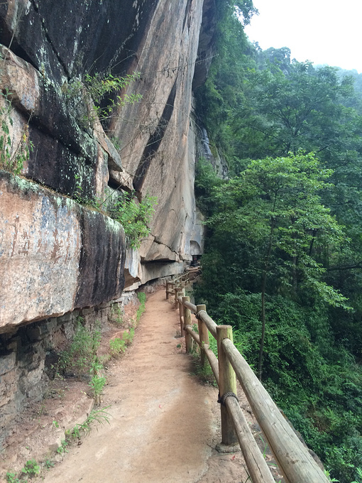 步道与观景平台
