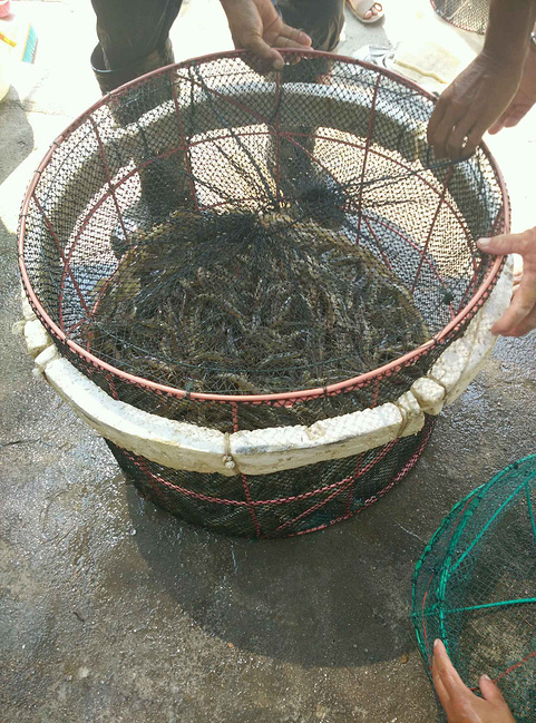 福建诏安和东山岛2日游_漳州旅游攻略