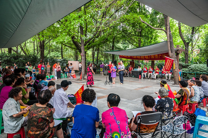 不到人民公园,体会不到成都人真实生活