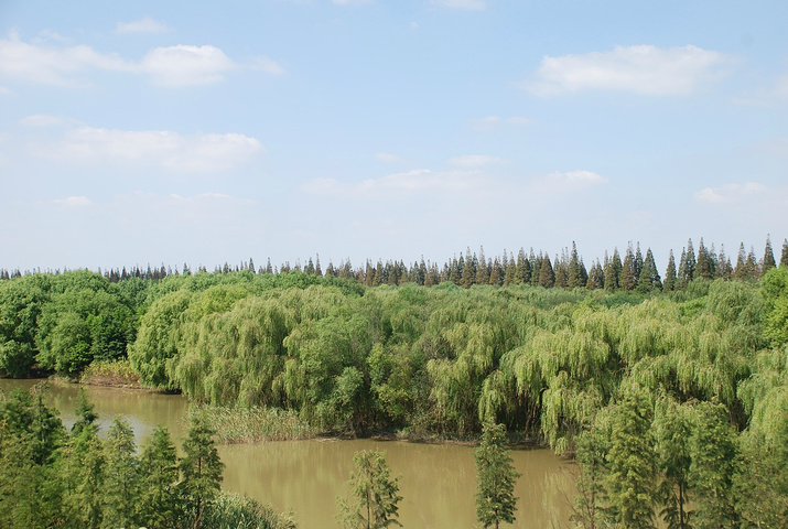 2016天好的时候能看一轮红日在慢慢落入芦苇