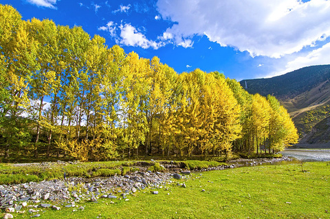 2015新都桥_旅游攻略_门票_地址_游记点评,甘