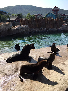 2016珠海长隆海洋王国_旅游攻略_门票_地址_