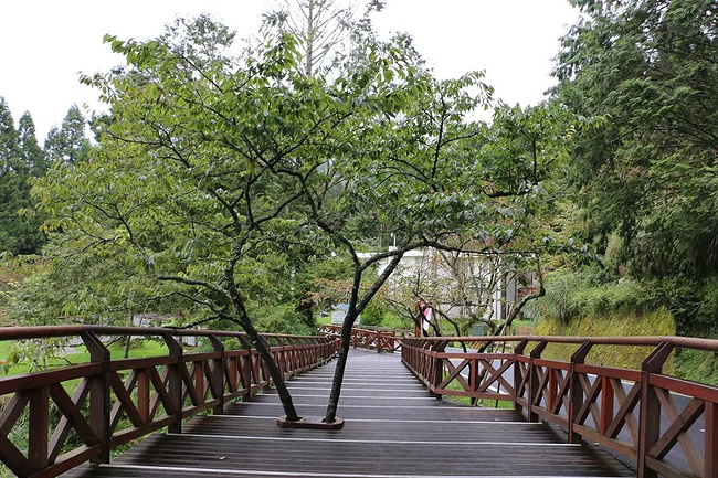 8天7夜跟团游:夫妻双双游台湾~_台北旅游攻略