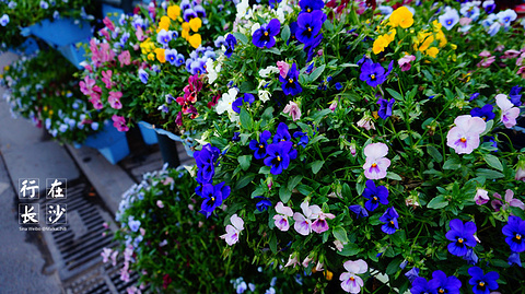 2016长沙世界之窗_旅游攻略_门票_地址_游记