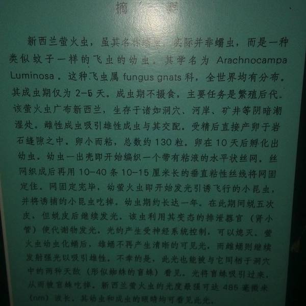 萤火虫二声部合唱曲谱