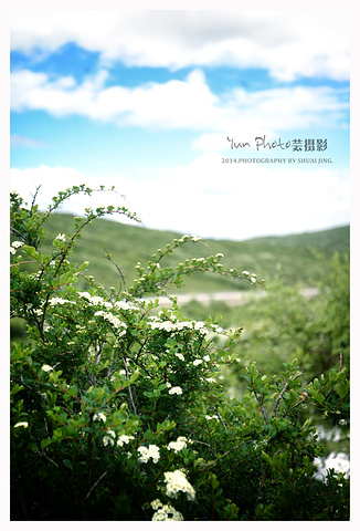 2019阿坝住宿案件,阿坝攻略/记录/攻略/交通/购dnf美食行程游玩图片