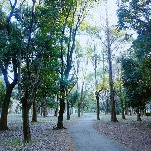 2019大阪城攻略门票,大阪大阪城公园游玩公园攻略光孝寺图片