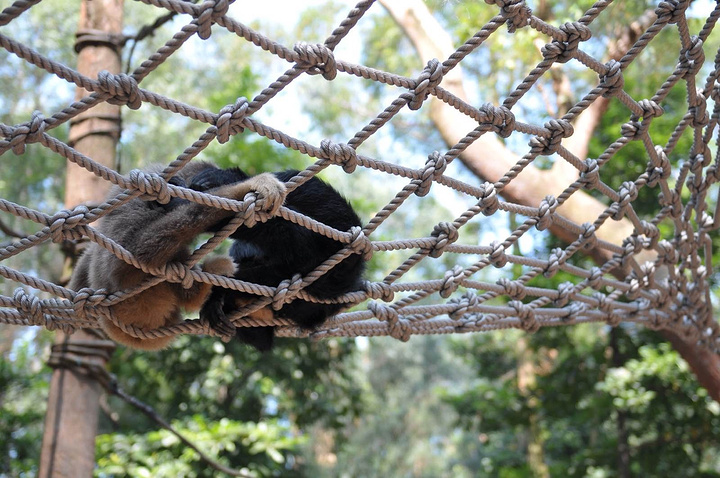 以大规模野生动物种群放养和自驾车观赏为特色,被誉为