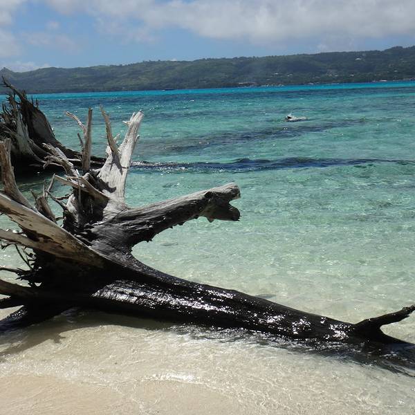 军舰岛电影在哪里能看