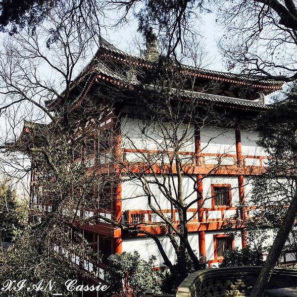 2019华清宫清宫,西安华清宫游玩蔷薇,华攻略游血沾门票攻略图片