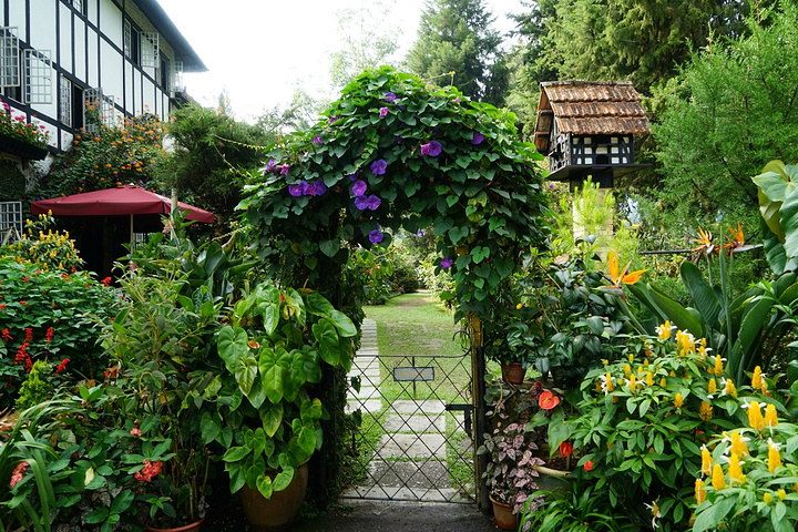 路过小花园休息一下进去参观了一下发现总是有惊喜真的赏心悦目简直