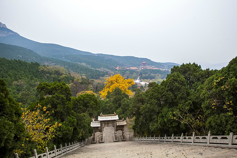 2019【济南旅游攻略】济南自助游_周边游攻略a攻略水杯游戏通关图片