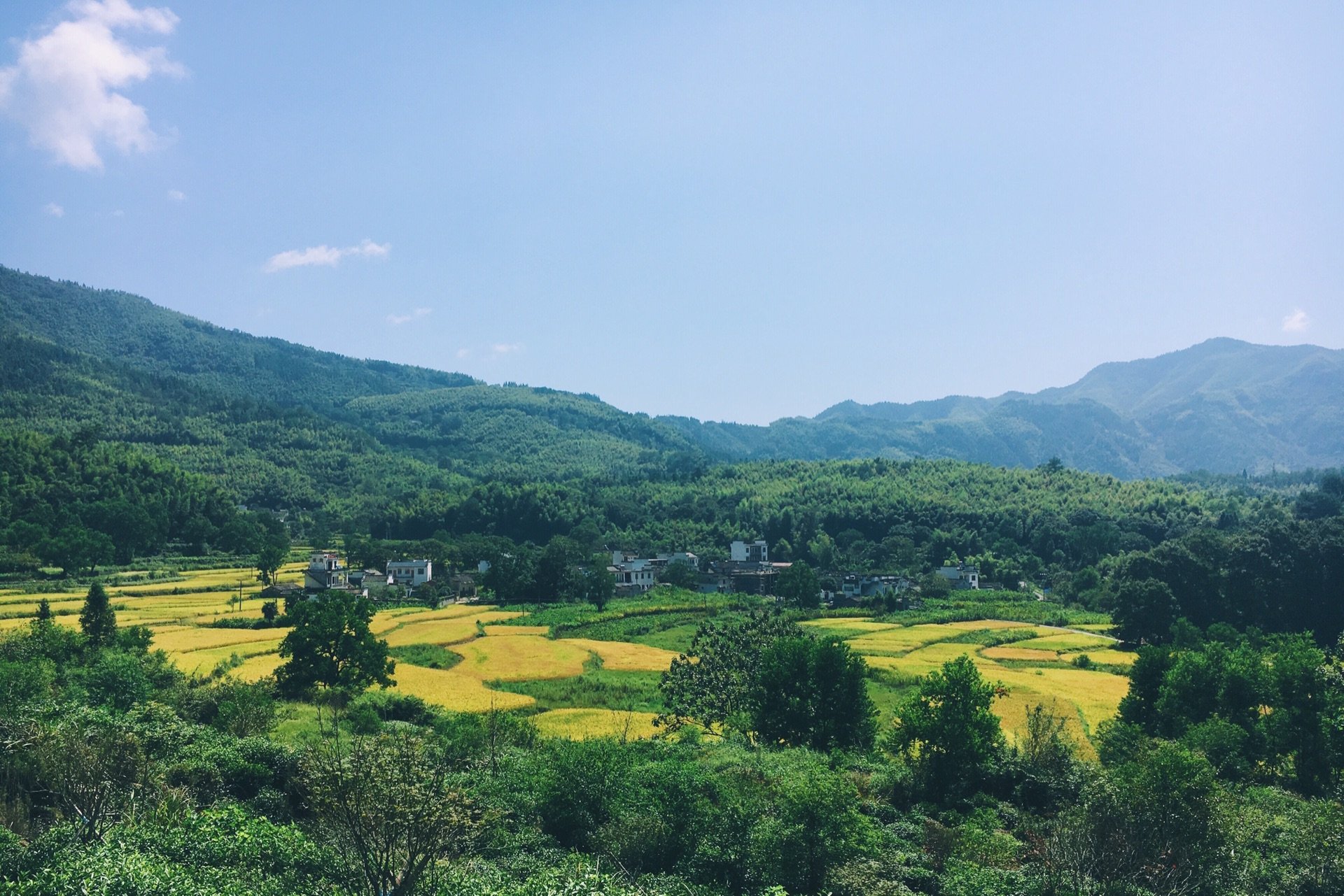 带着“小老太”行走在徽州的风口“浪”尖上