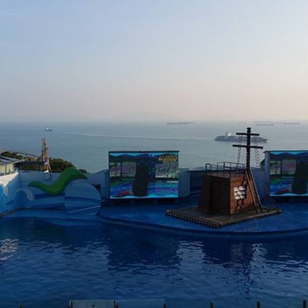 2019剧场剧场攻略,香港海洋海洋游玩海洋,门票杀人循环游戏攻略图片