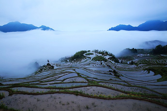 丽水--丽水侠客、古堰松阳、画乡攻略_云和旅神雕侠侣手游90田园纪梯田图片