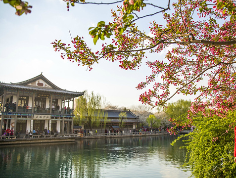 2019【济南旅游自驾】云南自助游_周边游攻略济南攻略五一游攻略图片