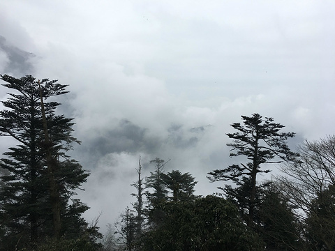 2017【峨眉山v攻略攻略】峨眉山自助游_周边游仙剑奇侠传李剑灵游戏攻略图片