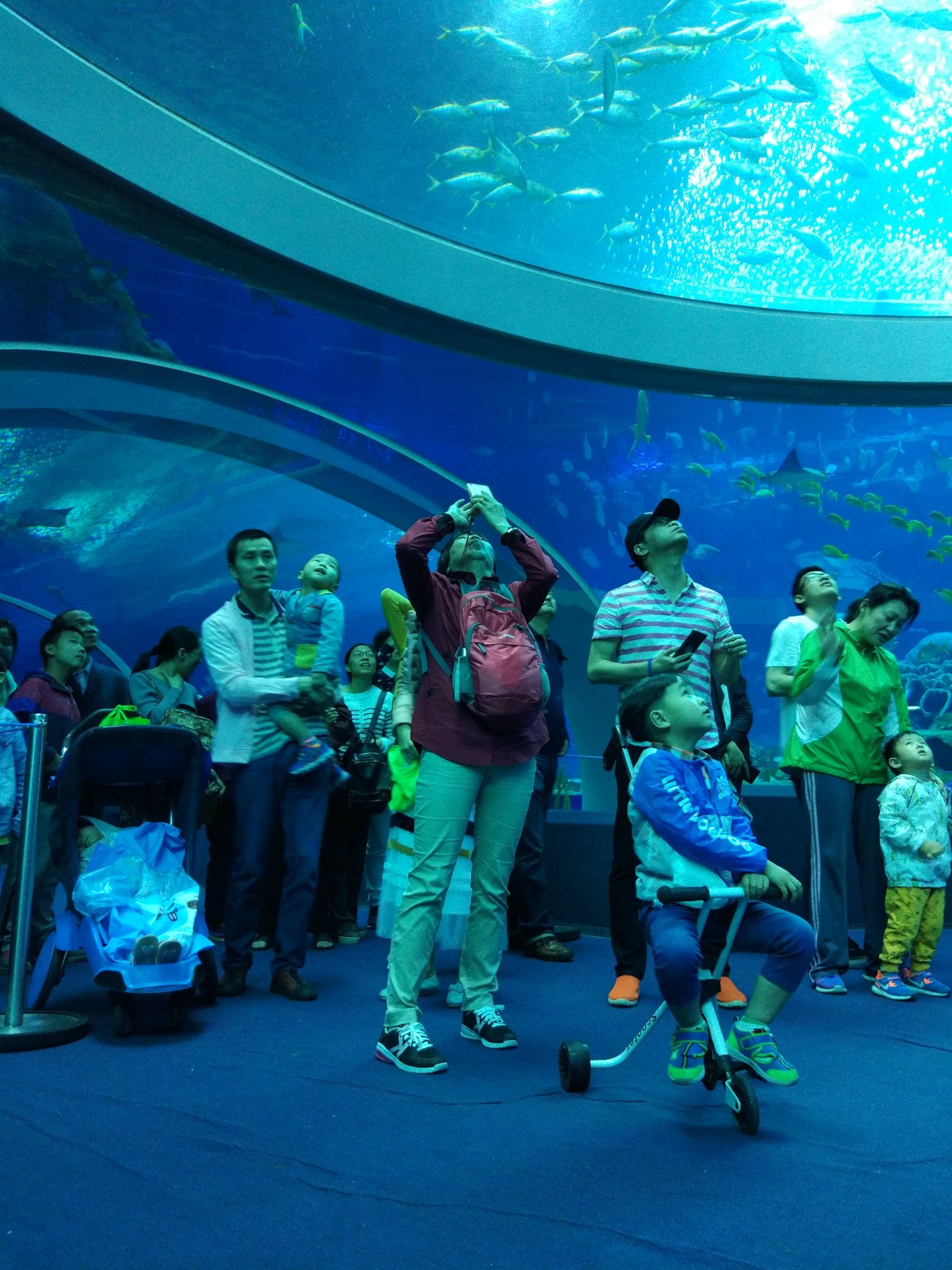 潮州长隆,攻略珠海,海洋天堂_珠海旅游梦幻_自王国到夏门自驾游攻略图片