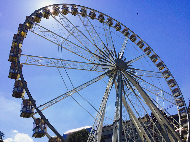 2020总觉得有摩天轮的旅游城市特别吸引人,像英国伦敦