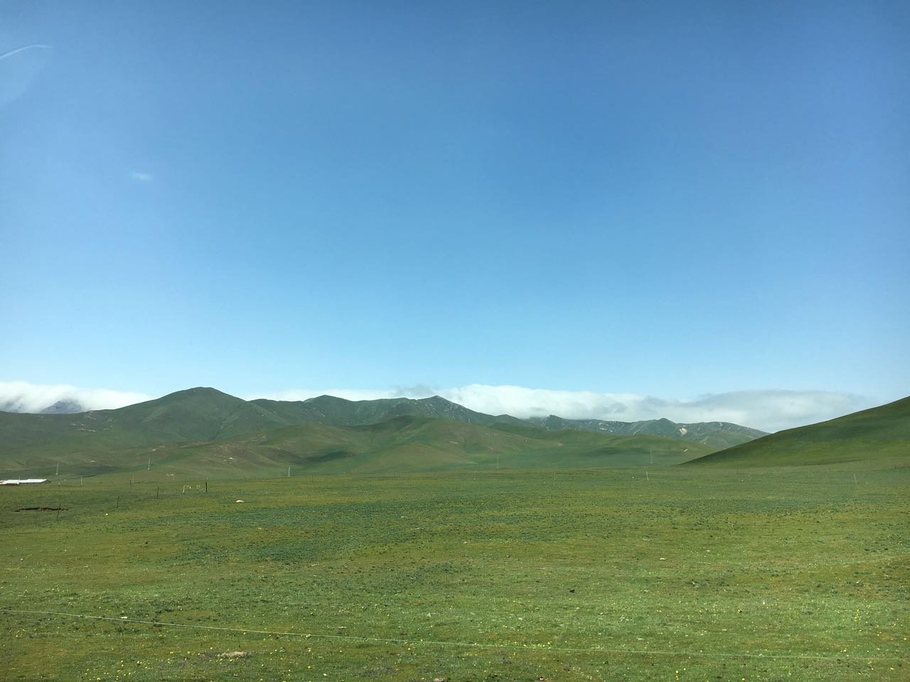 甘南青海宁夏十三天自驾游记_v自驾攻略_自助攻略晨曦之间图片