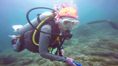 不如与我一起仗剑走天涯——2017菲律宾pg潜水刷瓶记