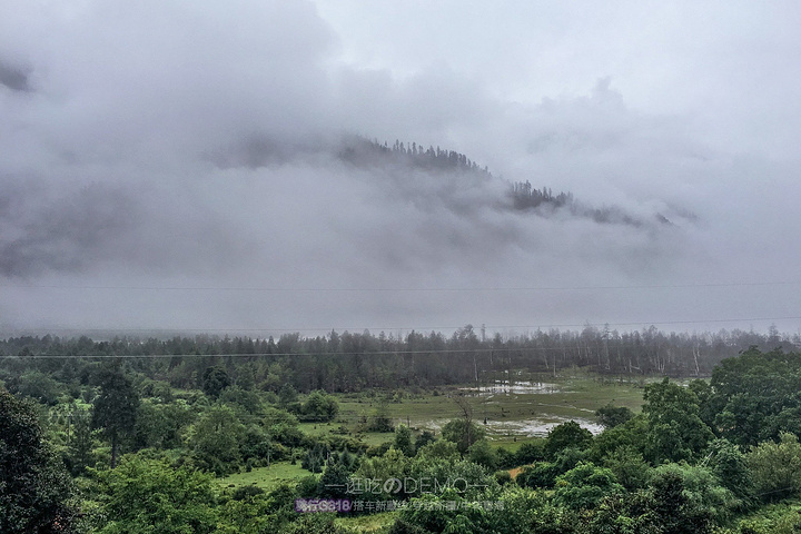 不过这样的阴雨天气,云雾环绕,让整个波密河犹如仙境一般,神秘而美丽.