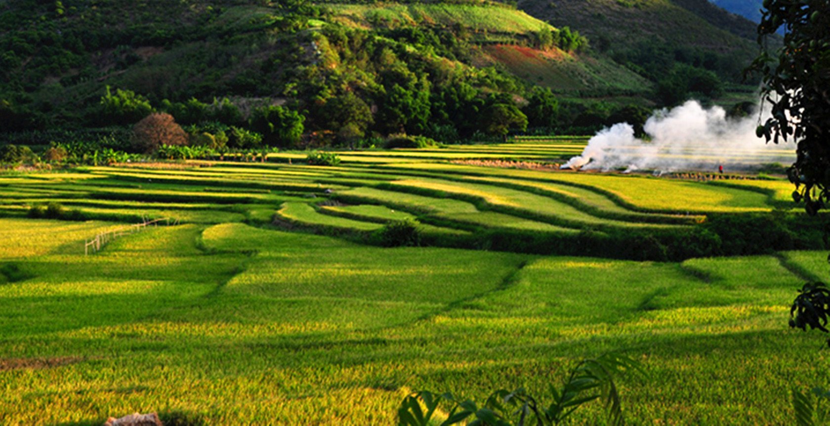 玉溪这一道道风景,需要停下脚步慢慢欣赏