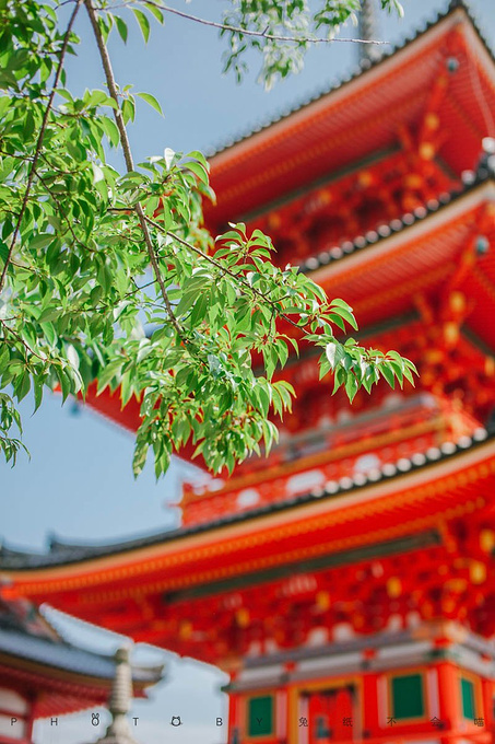 我想象的样子你都有,大阪/河口/奈良/京都湖/镰北派游戏文字攻略图片
