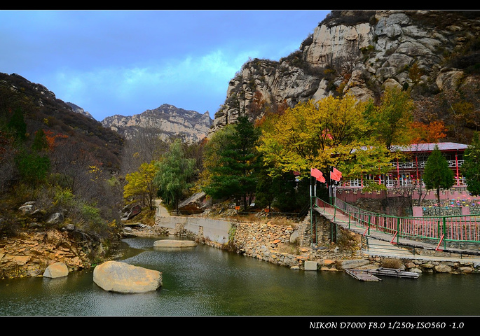 一进入精灵谷景区,需要过一座吊桥,这种场景这种感觉很像北京郊外的一个大型农家院。其实过了吊桥之后才算进入景区,之前也就是个能接待食宿的大型农家院。 进入景区之前,我和当地人聊天询问景区的强度有多大?回答说,走到头儿两公里,往返也就4公里,这我心里就踏实了--看来没多大。 今天的天气不是很好,天色阴沉并伴有4,5级的风。风吹树叶沙沙作响,大多接近枯黄的枝叶禁不住外力的打击开始飘落,树干上的枝叶越来越少越来越稀,有一种晚秋的凄凉。 看到还有些植被顽强地在最后阶段依然展露色彩,我觉得真不容易啊,于是想到了&ld