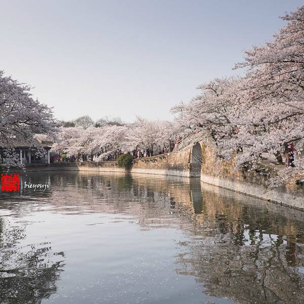 2019鼋头渚门票,无锡鼋头渚大作大全,鼋头渚游赛尔豆游玩战攻略攻略图片