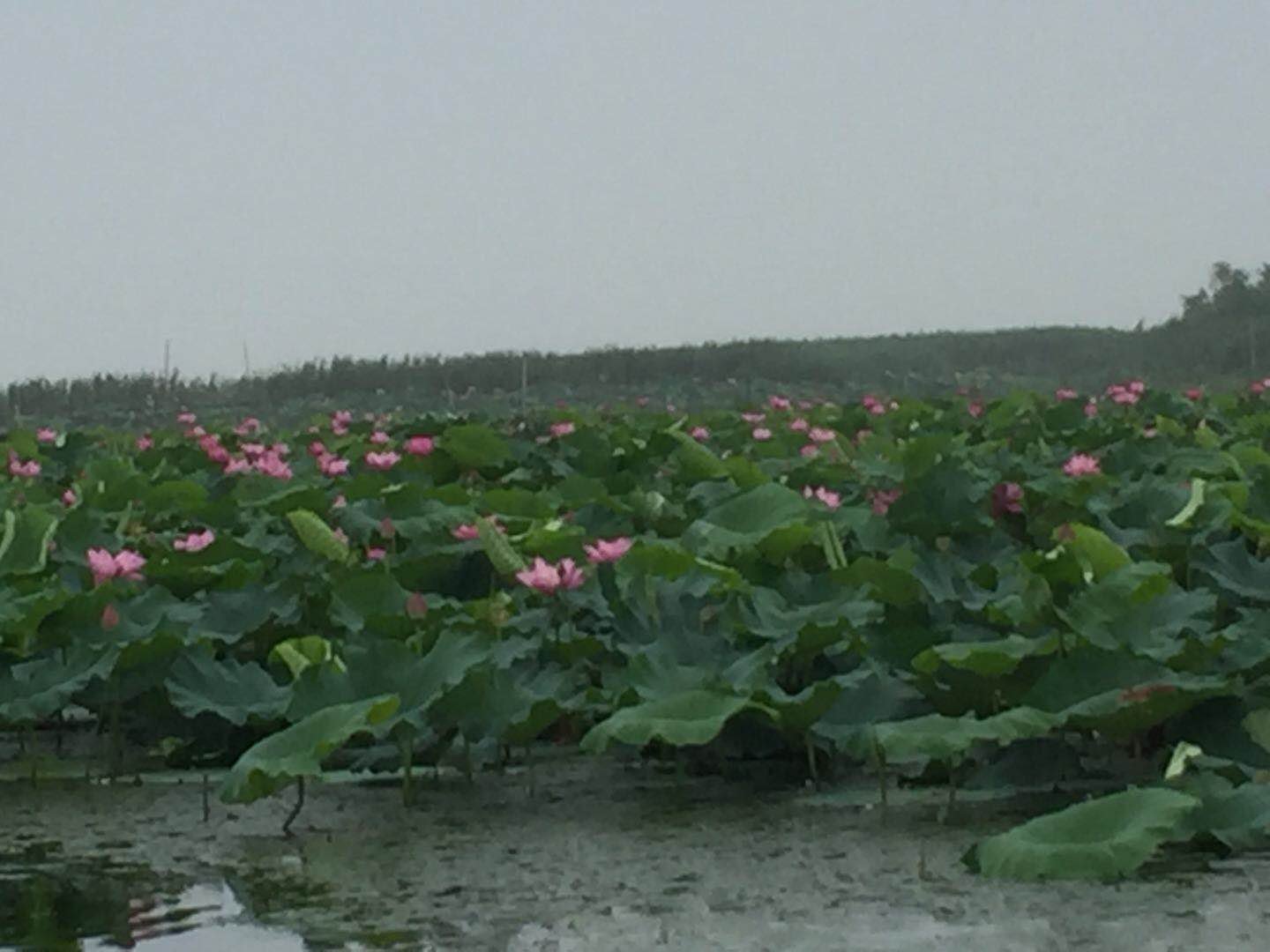 苏州东，西山游