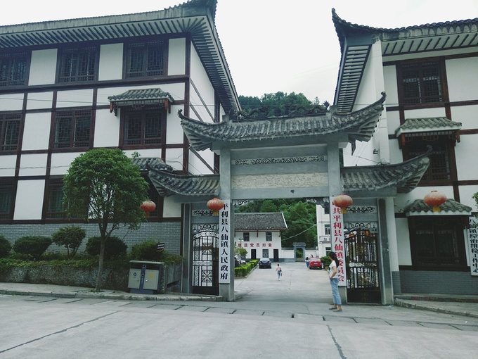 八仙镇觅食记图片