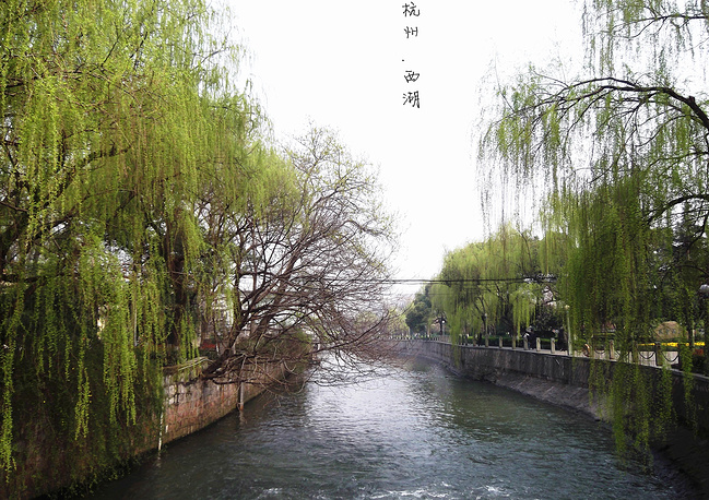 乌镇、杭州、西塘5日游_嘉兴旅游攻略_自助游药老公别,攻略停爱追108式图片