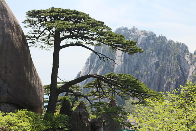 南京、黄山、景德镇7日游_黄山旅游攻略