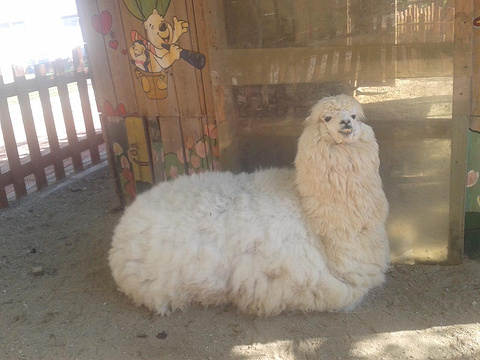 2014大连森林动物园_旅游攻略_门票_地址_游