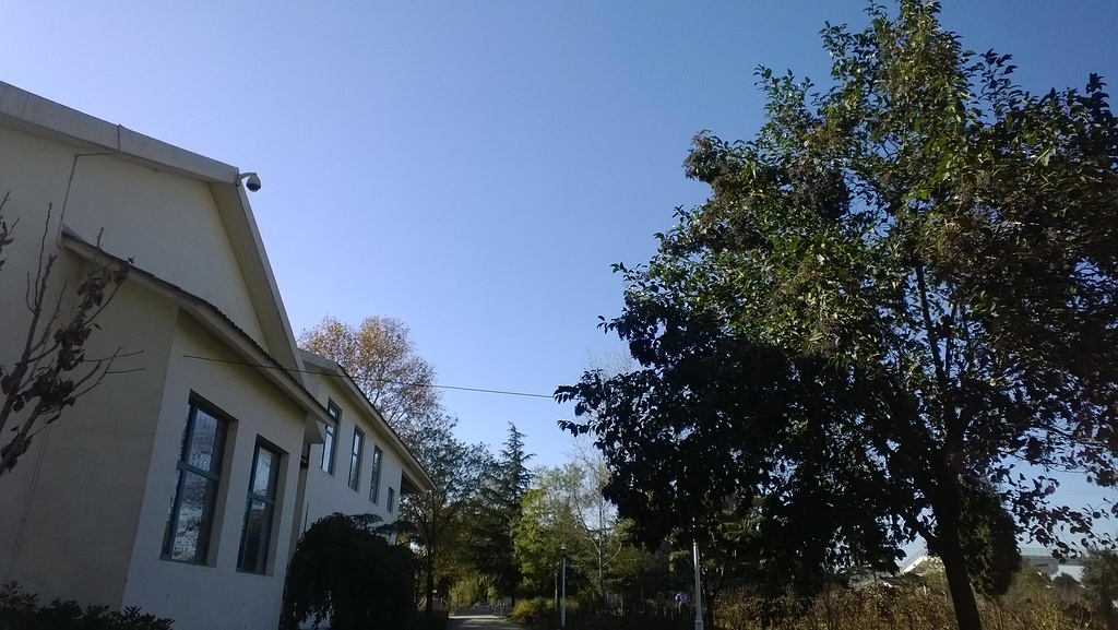 2014花美 不拥挤 值得一去_国家牡丹园游玩评