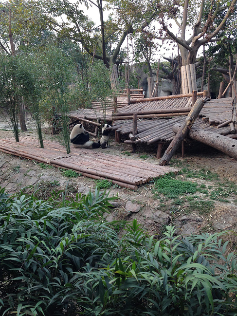 成都、峨眉山、都江堰5日自由行_成都旅游攻略