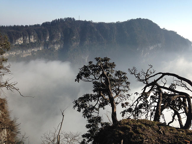 成都、峨眉山、都江堰5日自由行_成都旅游攻略