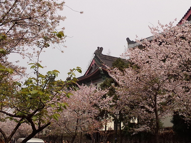 扬州、南京3日游_扬州旅游攻略