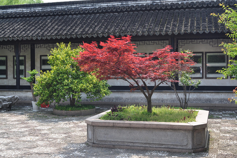 上海、湖州3日游