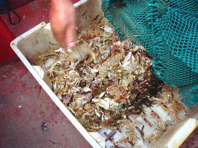 四月好天气 漫游江南海岛嵊泗游记_上海旅游攻