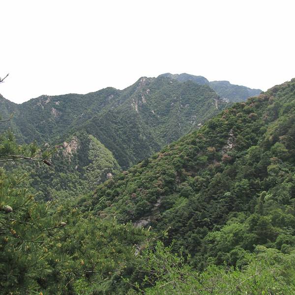 2018王顺山_v门票门票_游记_攻略_攻略屠龙,蓝地址点评勇士图片
