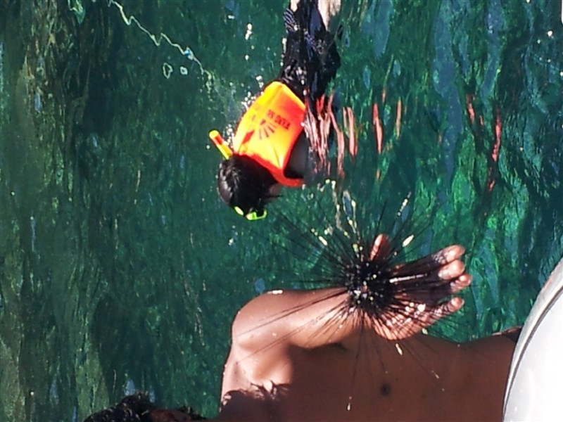 人在囧途--泰国泰可爱之旅_曼谷旅游攻略