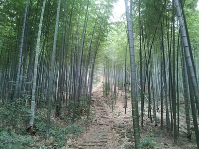 扬州-宜兴善卷洞2日游_无锡旅游攻略