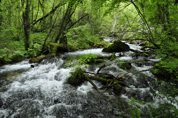 心灵旅程——茂县·松坪沟